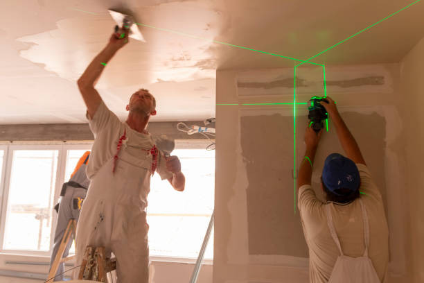 Best Water-Damaged Drywall Repair  in Laingsburg, MI